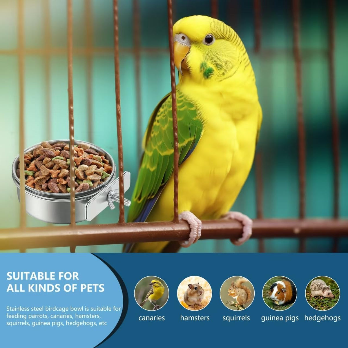 Clean stainless steel bird water feeder installed inside enclosure