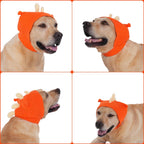 Side profile of medium dog wearing orange dinosaur dog snood