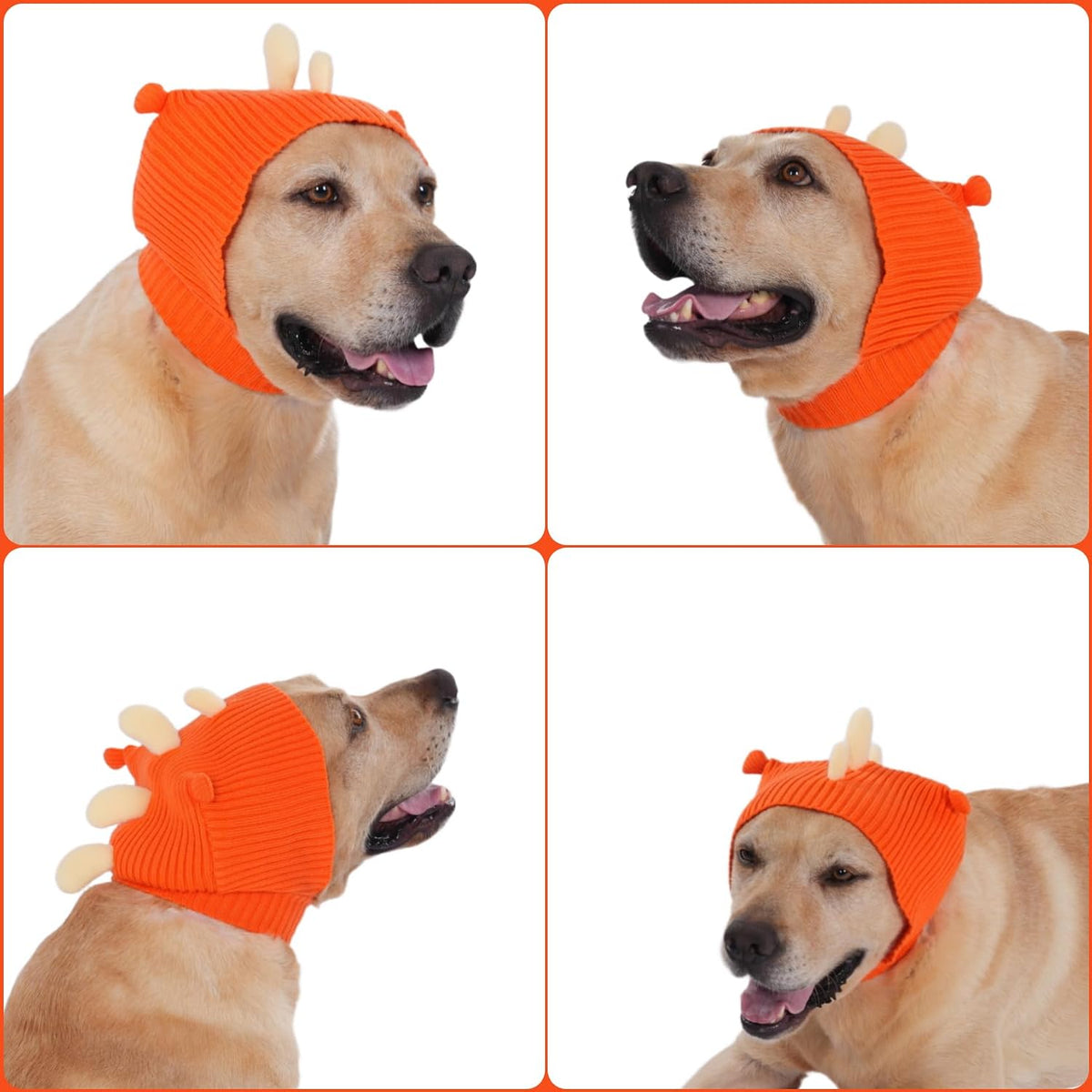 Side profile of medium dog wearing orange dinosaur dog snood