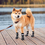 Detachable hook and loop strap detail on dog sock