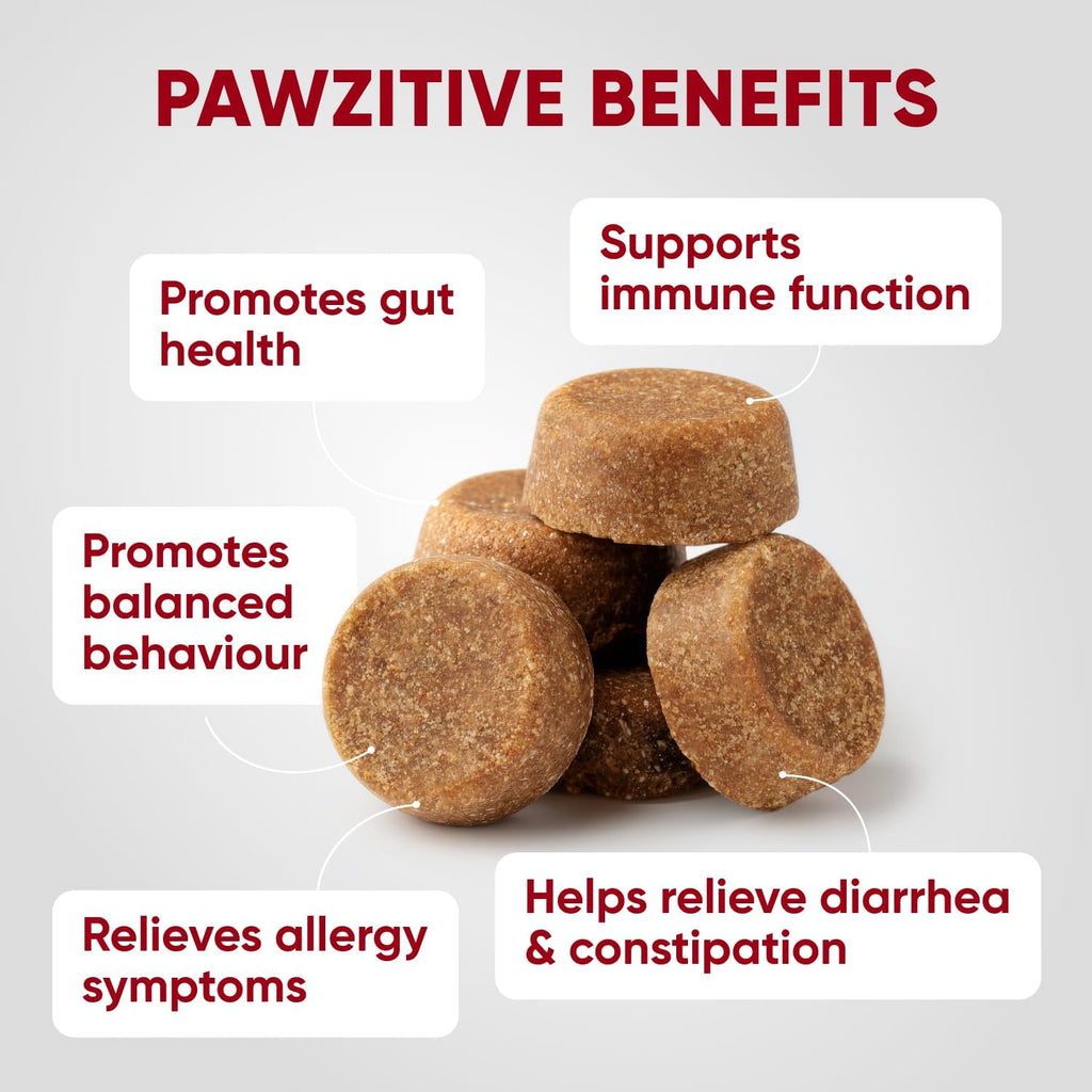 Pawzitive Pets dog allergy relief chews with enzymes supplement texture detail