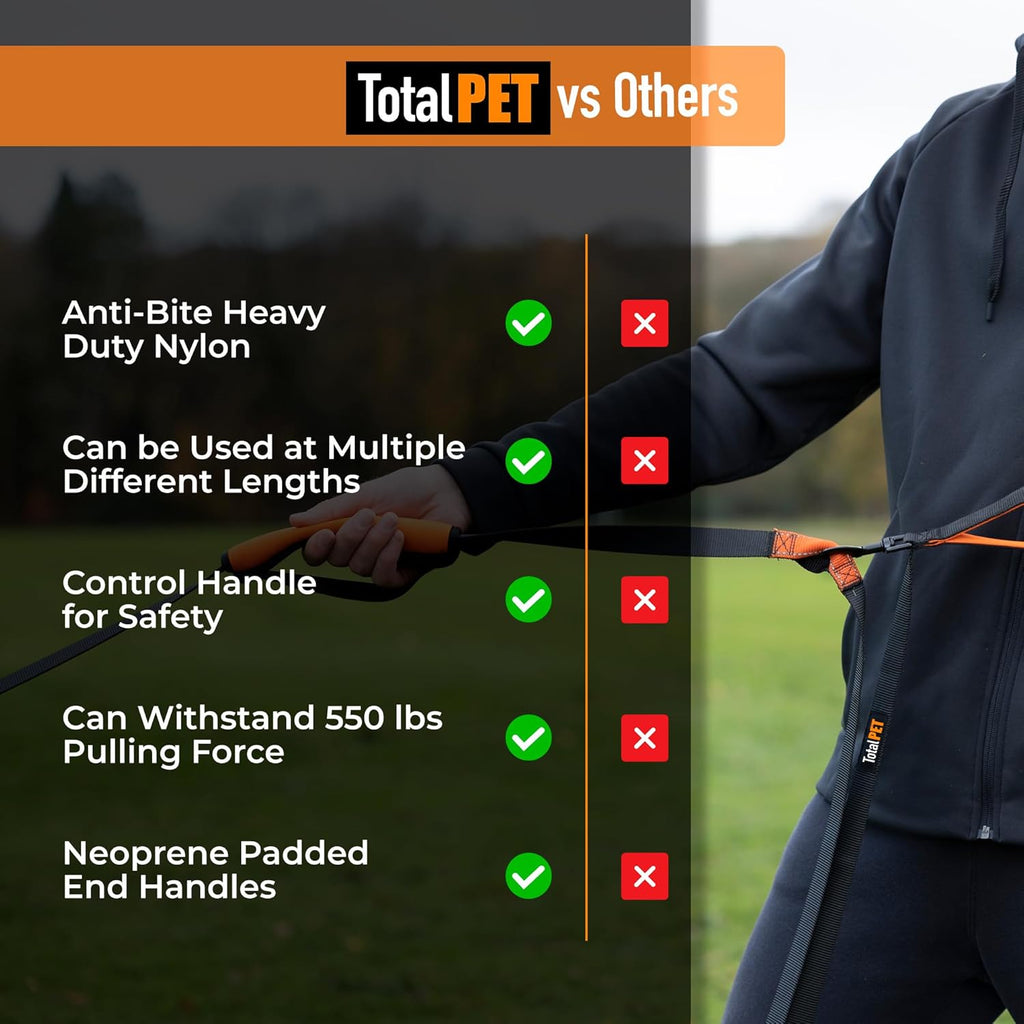Large breed dog training outdoors using the high visibility orange Total Pet long line leash