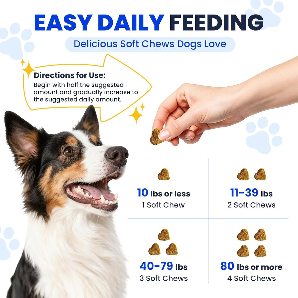 Allyeah salmon oil chews for canine immune and joint support