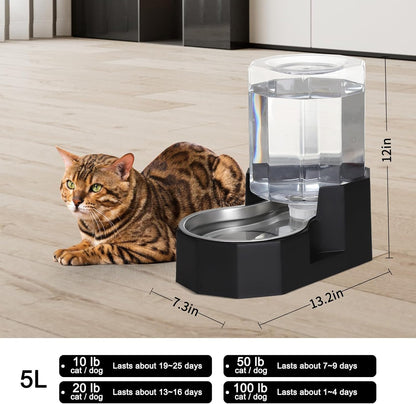Sfozstra spill proof dog water bowl with its weighted non-slip octagonal base on a kitchen floor.