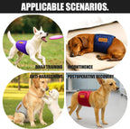 Colenumone leak proof dog belly band laid flat for sizing measurement