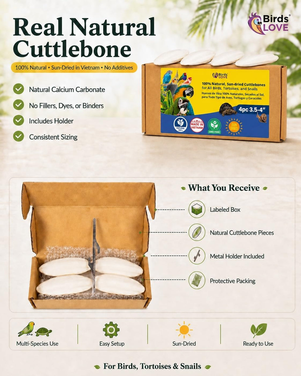 Birds LOVE 3.5-4" Cuttlebone for Birds - 100% Natural Sun-Dried Calcium & Beak Conditioning Supplement for Parakeets, Budgies, Cockatiels, Finches & Canaries - 4 Pack with Holder - Made in Vietnam - Image 2