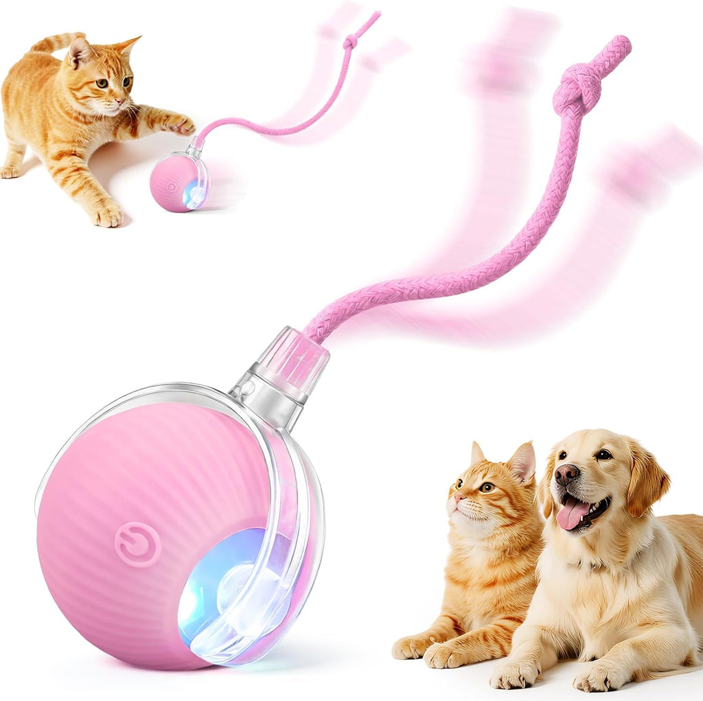 SilveWillo pet toy demonstrating rolling movement on floor