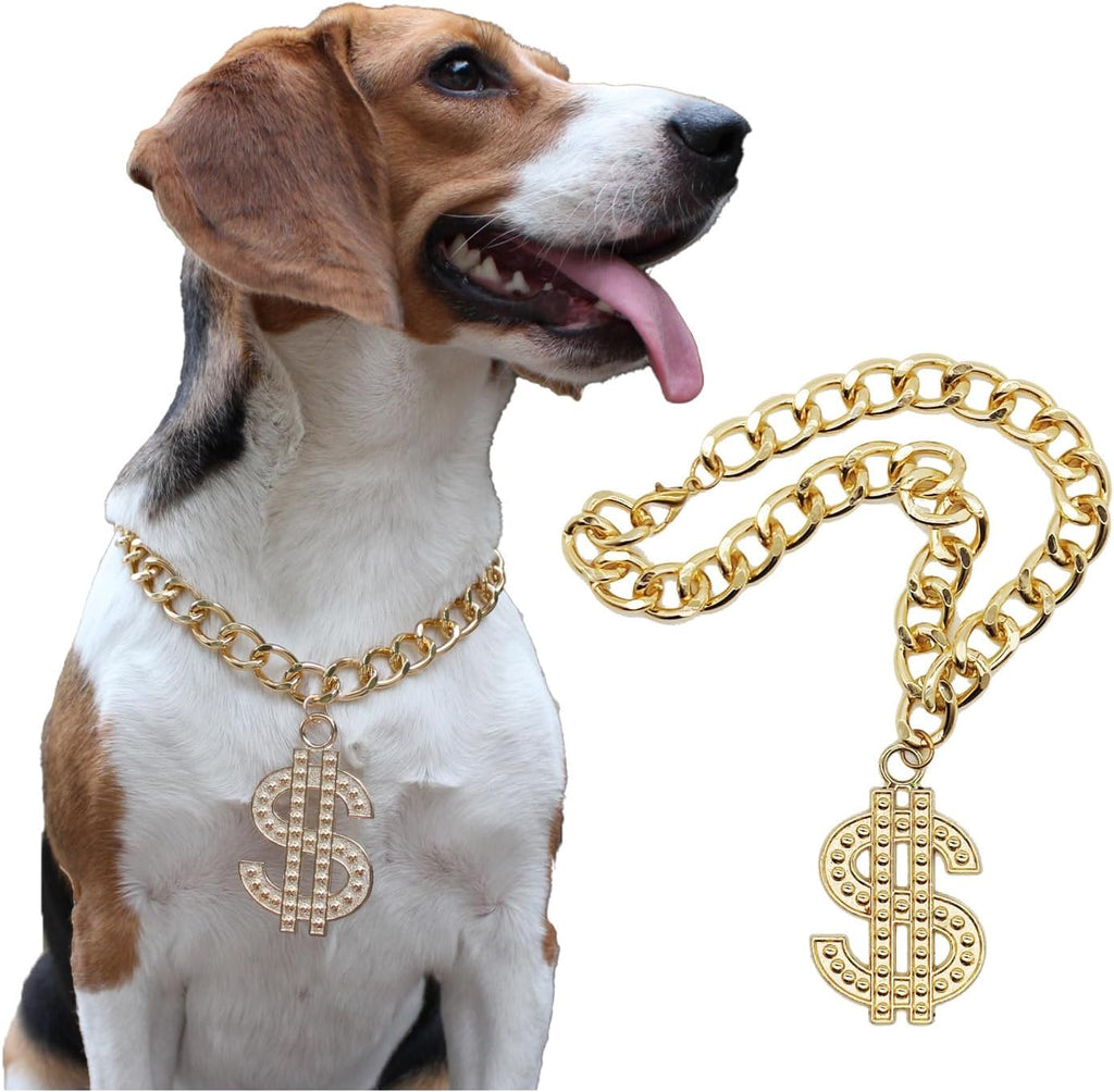 LUVMOJO pet gold chain with dollar pendant front view on a puppy