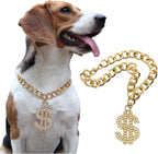 LUVMOJO pet gold chain with dollar pendant front view on a puppy