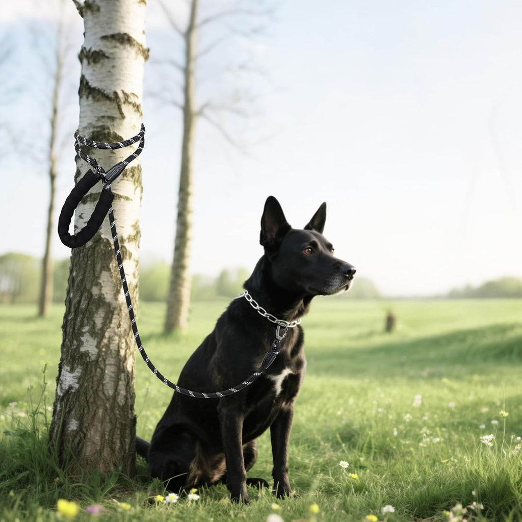 Durable weather resistant Wodondog nylon dog leash for camping and hiking.