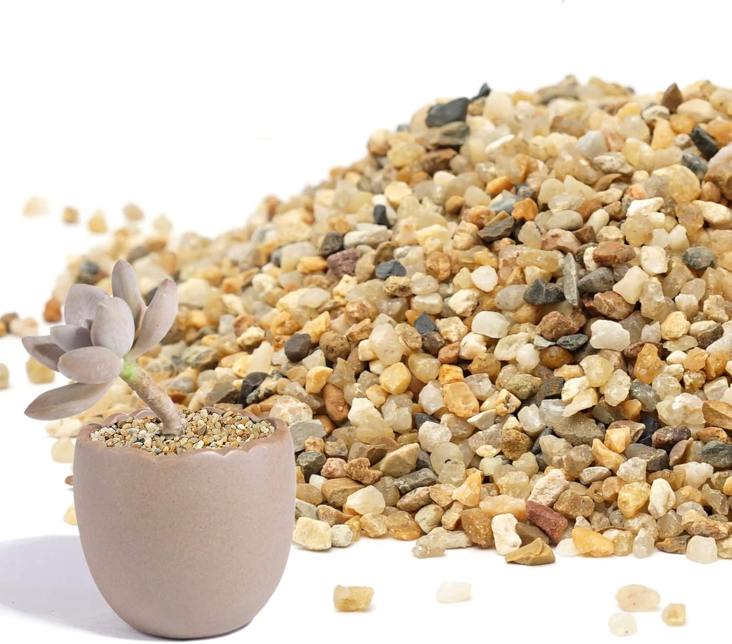 Washed multi colored coarse silica sand pebbles highlighting dry versus wet contrast