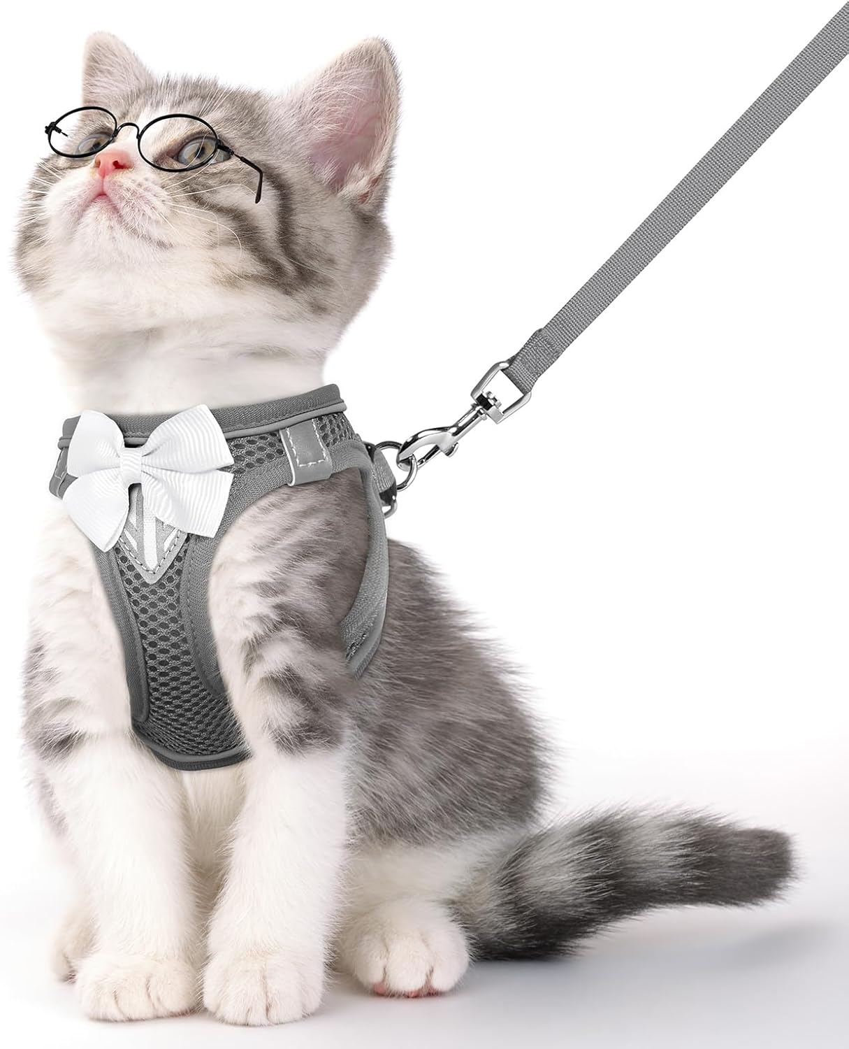Cat Vest Harness and Leash Set for Walking Escape Proof, Adjustable Kitten Harness Breathable Mesh with Reflective Strips Harness for Kitty Puppy Bunny (Blue, XS) - Image 10