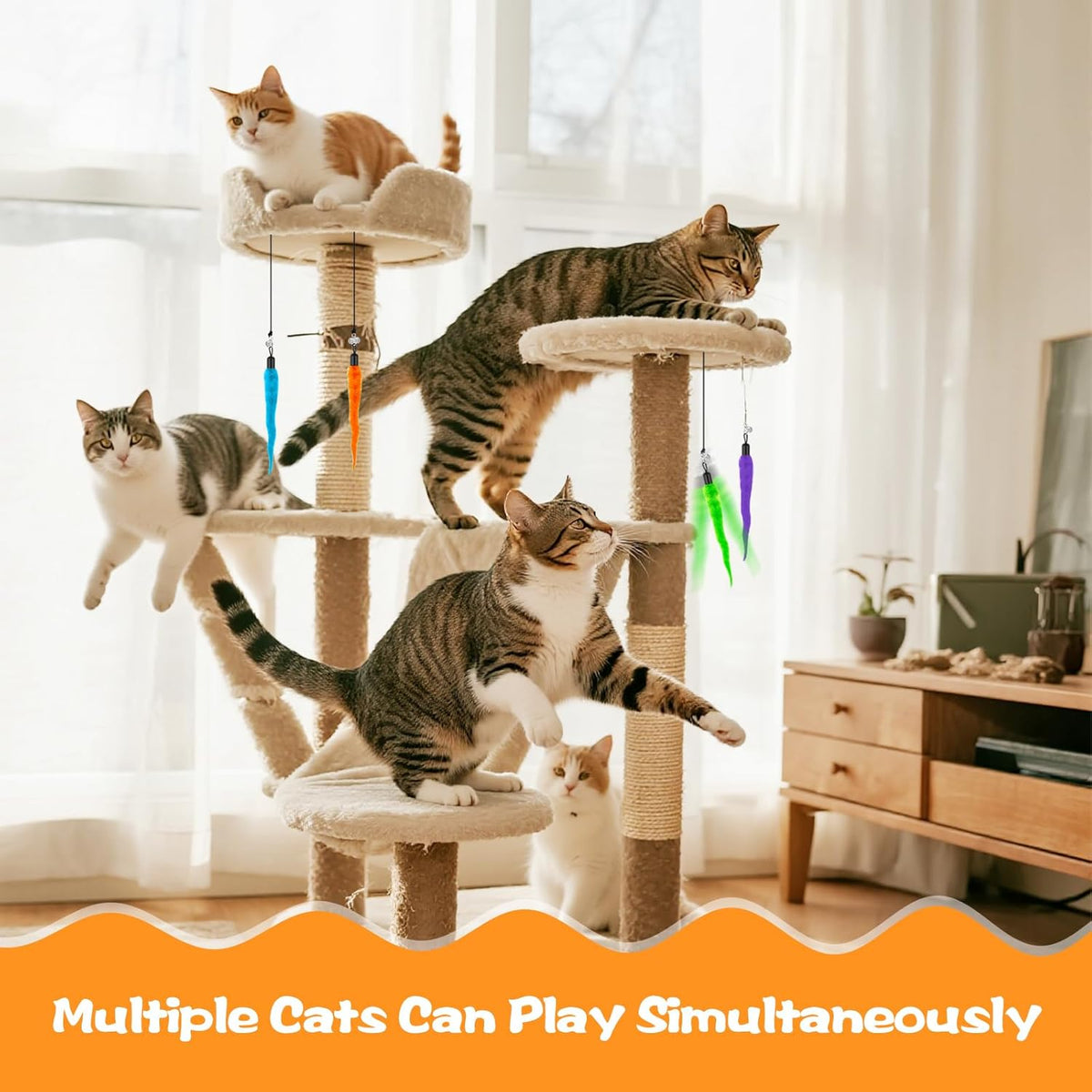 USA imported interactive kitten chaser toy accessories with built-in sound bells