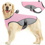 Dog Cooling Jacket for Large Dogs, Pet Cooling Vest with Mesh and D Ring, Dog Reflective Stripe Cooler Jacket for Beach, Hiking, Walking, Blue-L - Image 10