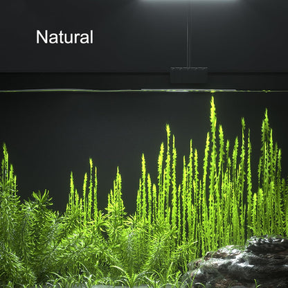 Detailed view of the Carefree Fish clip on aquarium lamp mount
