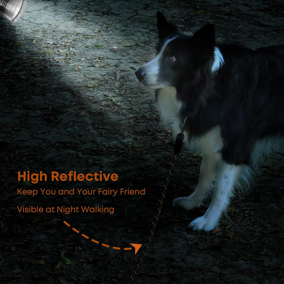 Dual 360 degree rotating metal spring clasps on both ends of the dog training rope.