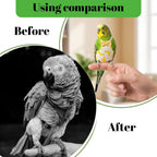 Cockatiel diaper showing breathable waist openings