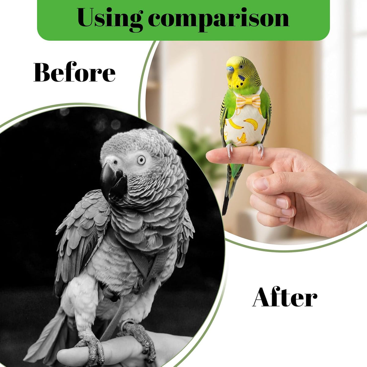 Cockatiel diaper showing breathable waist openings