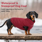 Back view of Asenku dog winter coat showing leash hole