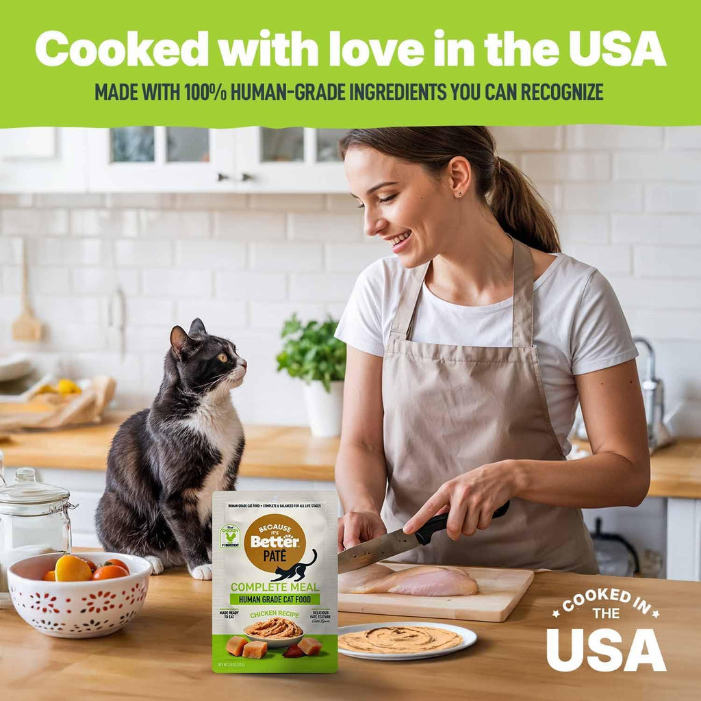 Healthy grain free real meat cat food single serve pouch