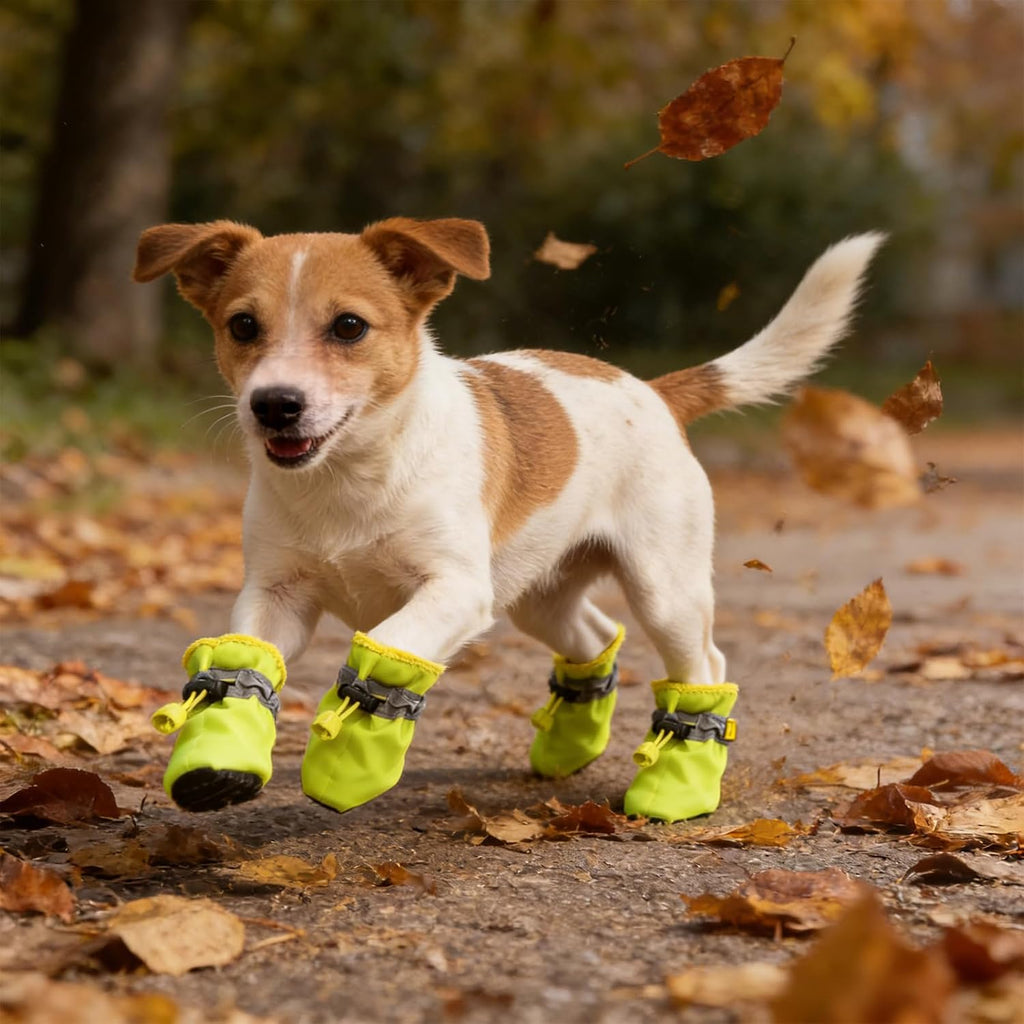Andiker dog boots for spring and summer outdoor use