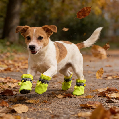Andiker dog boots for spring and summer outdoor use