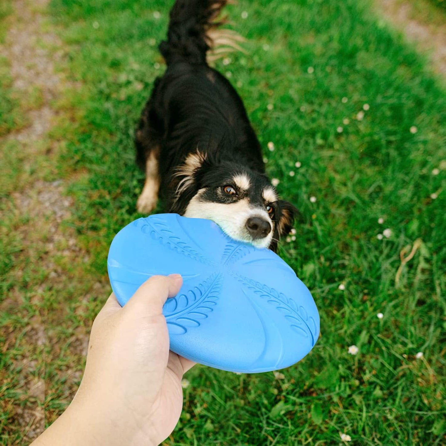 High visibility blue Nobleza flying disc ready for tossing