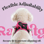 Rabbitgoo secure quick release buckle pet walking harness