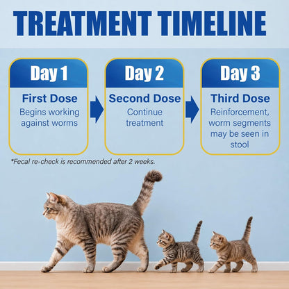 VetaCare feline dewormer liquid being measured with the included oral syringe tool
