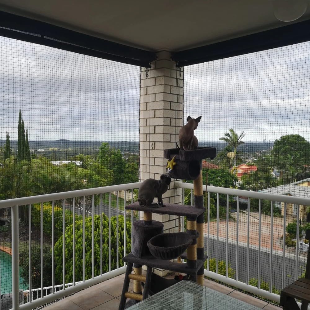 Example of catio netting setup on patio