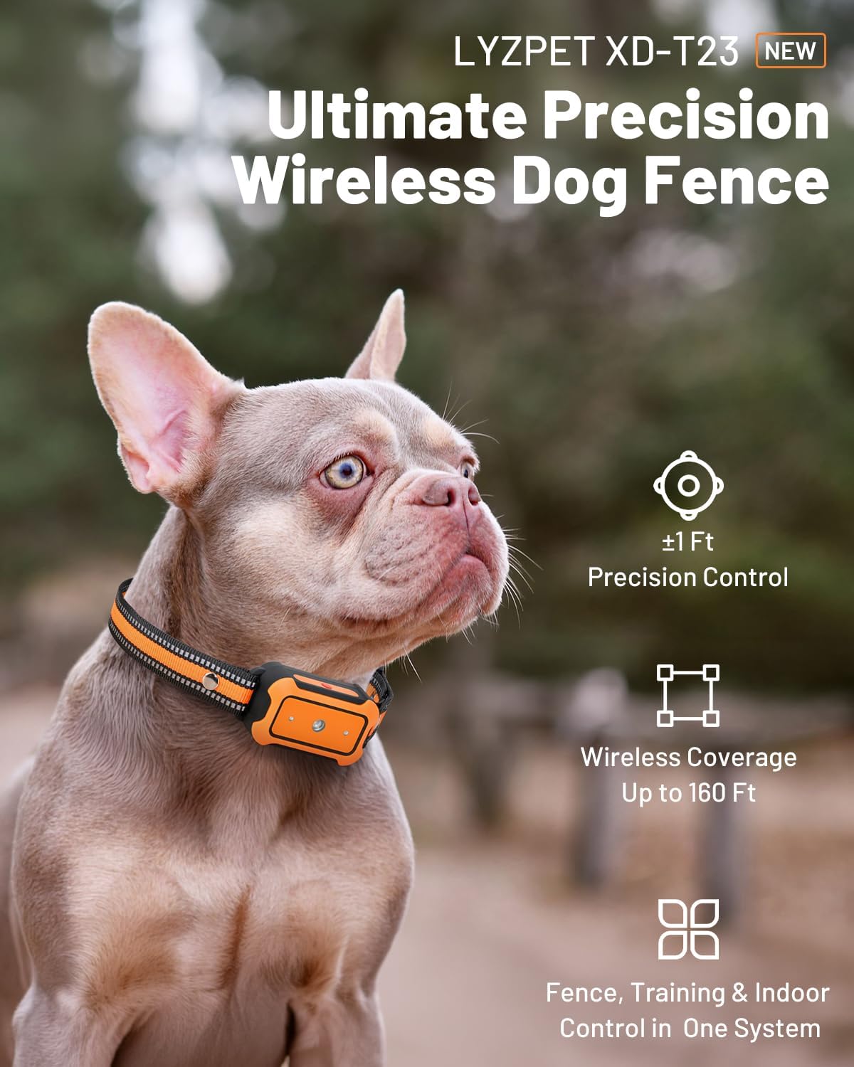 LYZPET wireless dog training collar featuring reflective safety strips and IPX7 waterproof construction on a flat surface.