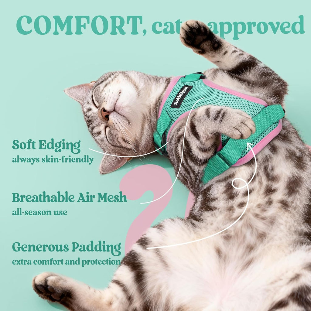 Detail of Rabbitgoo cat harness quick-snap buckles