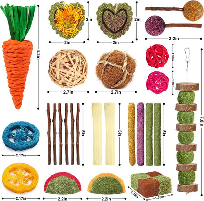 Premium USA imported pet treats for domestic rabbits and guinea pigs in India