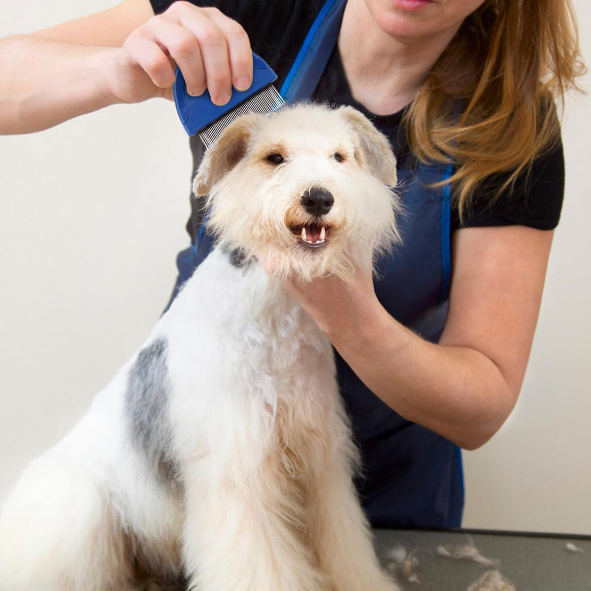 Prime Pets pet grooming comb for all hair types