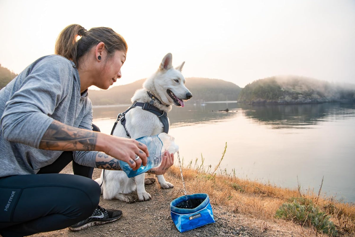 Reflective trim detailing on the Ruffwear Quencher dog food bowl