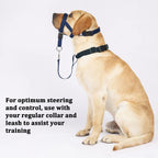Adjustable padded straps of Barkless dog head collar