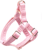 ARING PET Dog Halter Harness, Velvet Dog Harness, Adjustable No Pull White Dogs Halter Harness. Small (Pack of 1) - Image 14