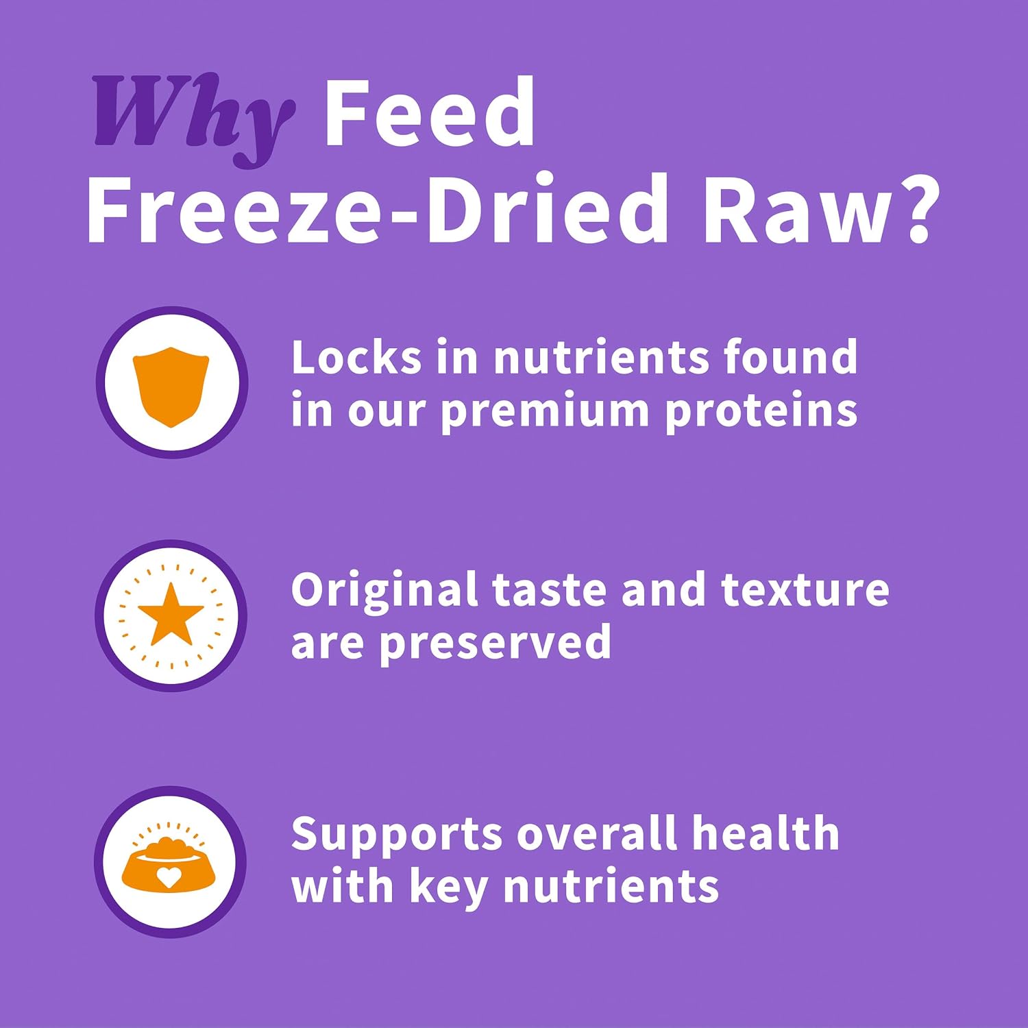 Halo freeze dried raw beef recipe served as a dog food topper in a bowl