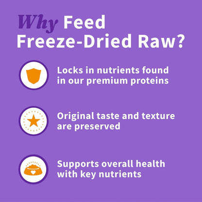 Halo freeze dried raw beef recipe served as a dog food topper in a bowl