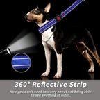 Anglevate Martingale collar packaging and product label details