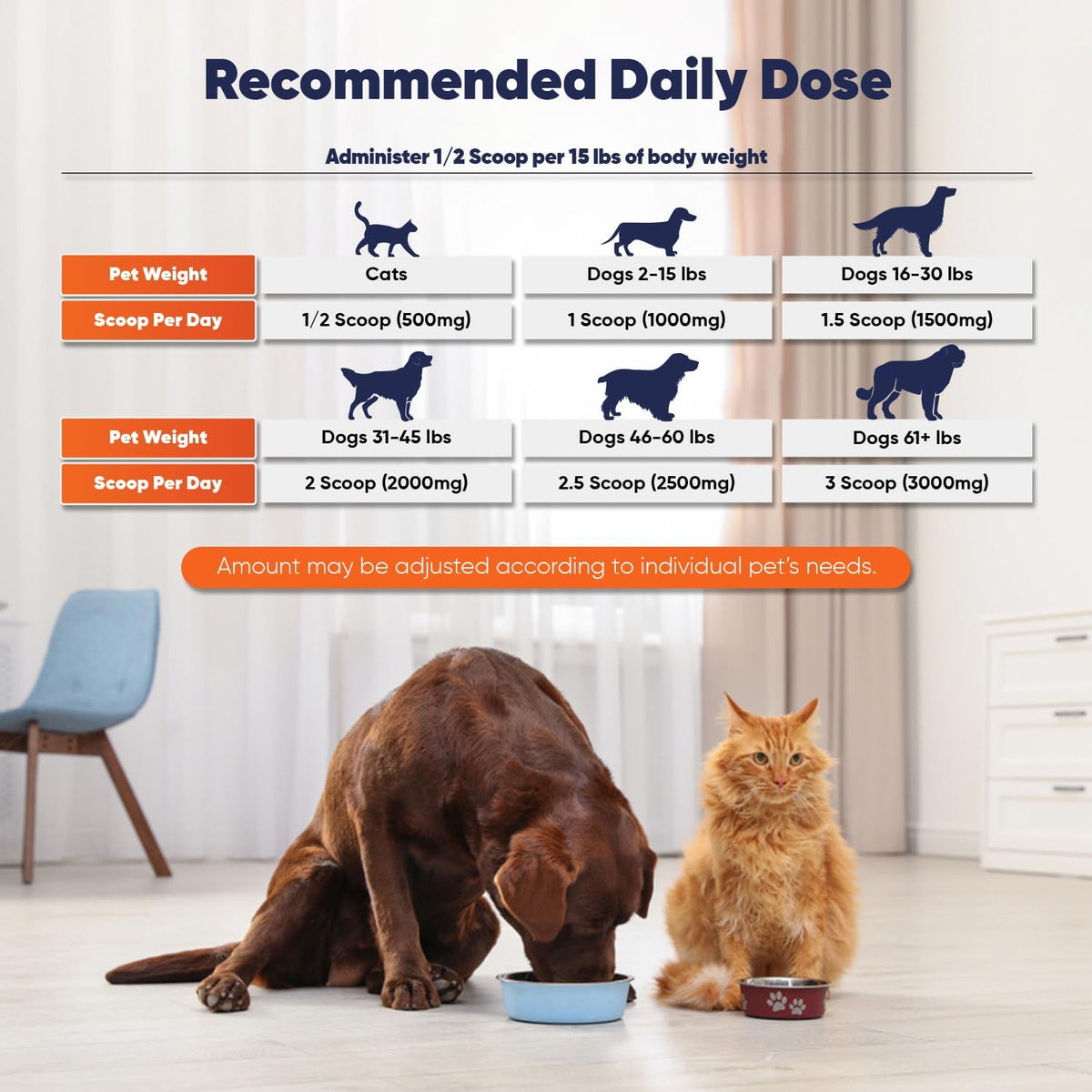 Imported USA pet wellness supplement for skin itching and irritation