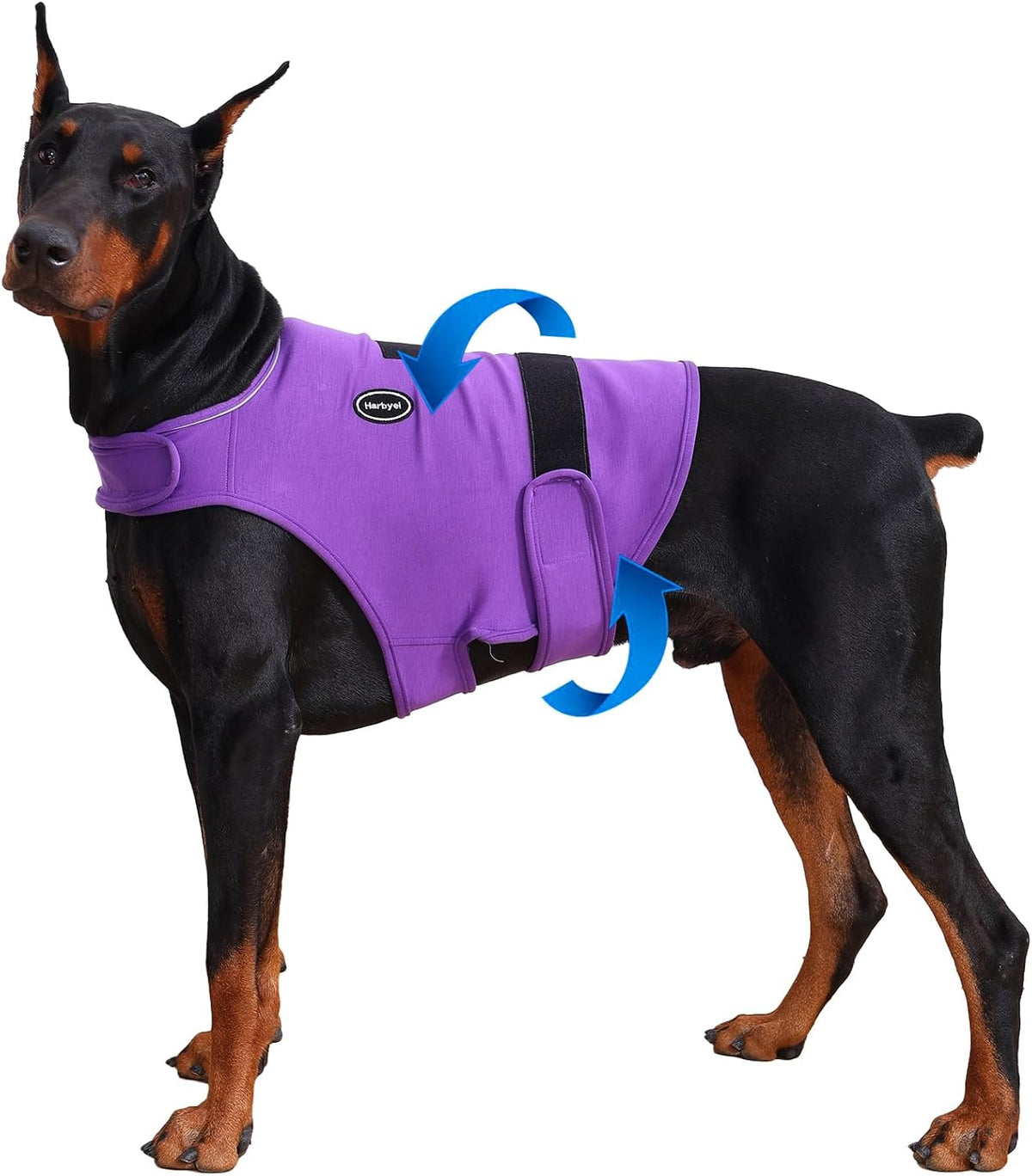 Dog Anxiety Vest - Skin-Friendly Calming Shirt for Thunder, Fireworks, Vet Visits & Separation Anxiety - No Medicine or Training Needed - Suitable for Small, Medium, and Large Dogs - Image 9