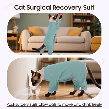 Cat wearing Dentrun recovery suit as a cone alternative