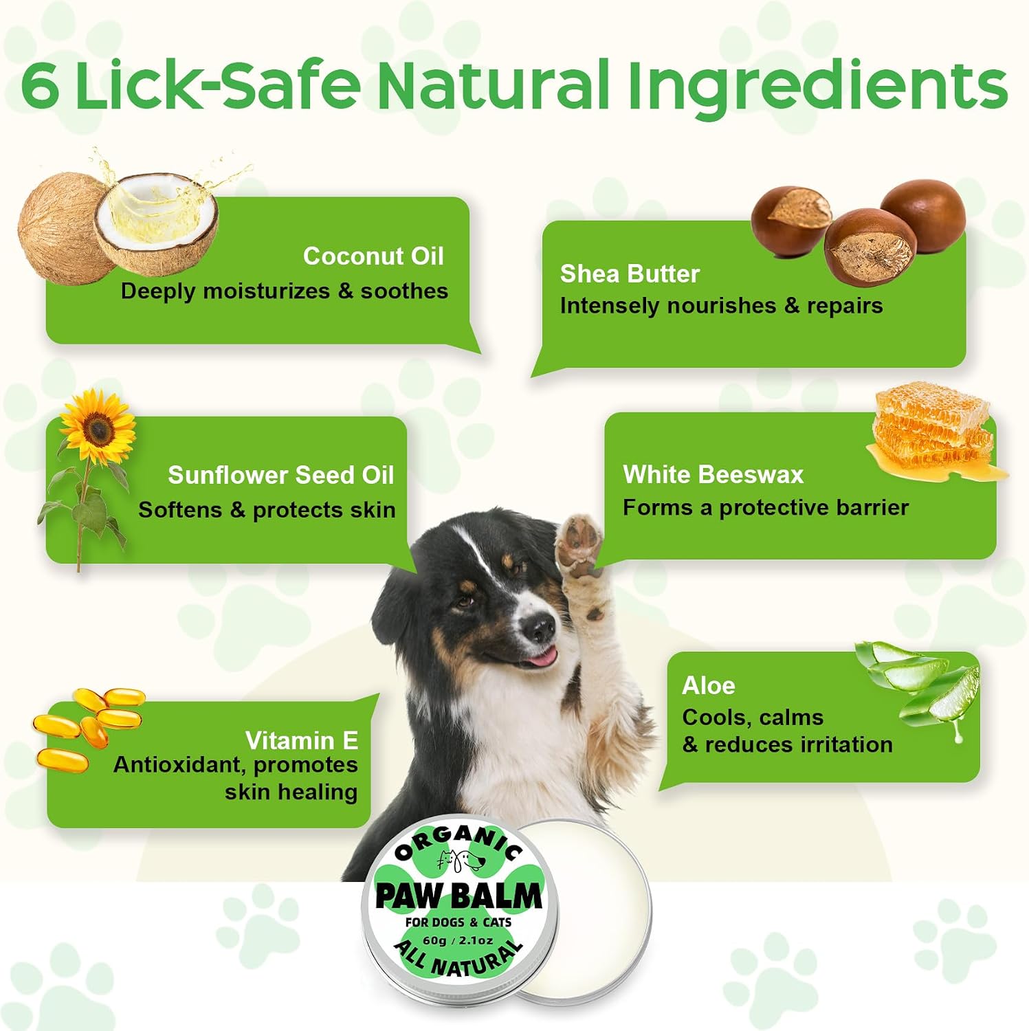 Dog paw balm applied to a dog's dry paw pad