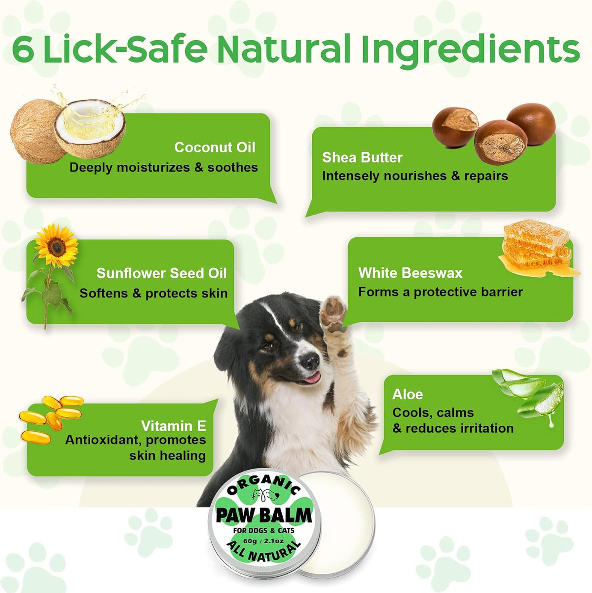 Dog paw balm applied to a dog's dry paw pad
