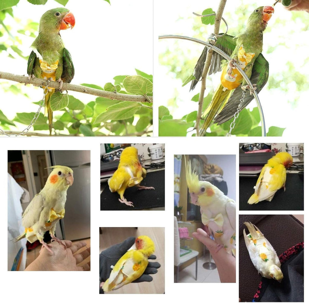 QBLEEV pet bird flight suite packaged view