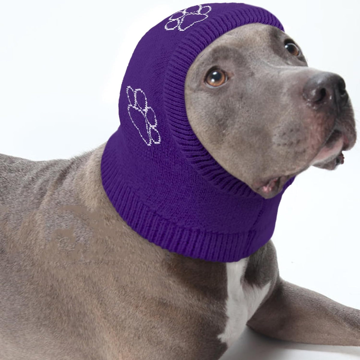 Nanaki dog calming hoodie in Haze Blue color variant