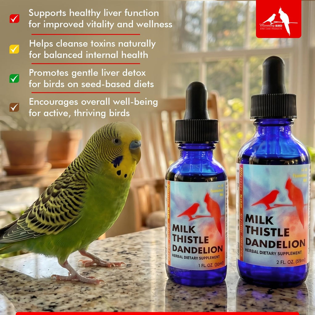 Close up of Morning Bird herbal extract dropper bottle for avian care