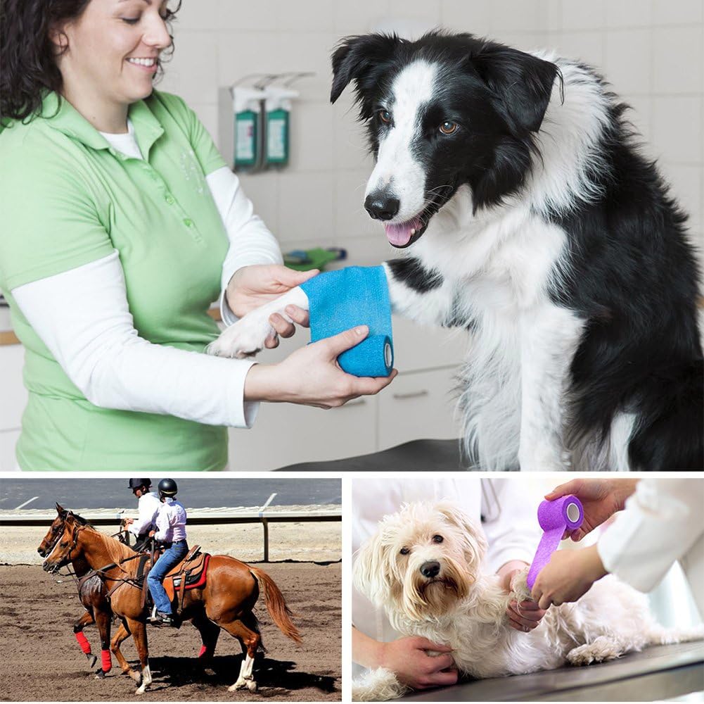 LotFancy vet wrap set for pet first aid kit