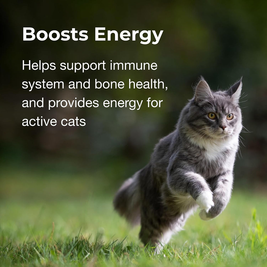 Back panel of PetAg vitamin and mineral gel for cats